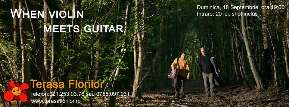When violin meets guitar